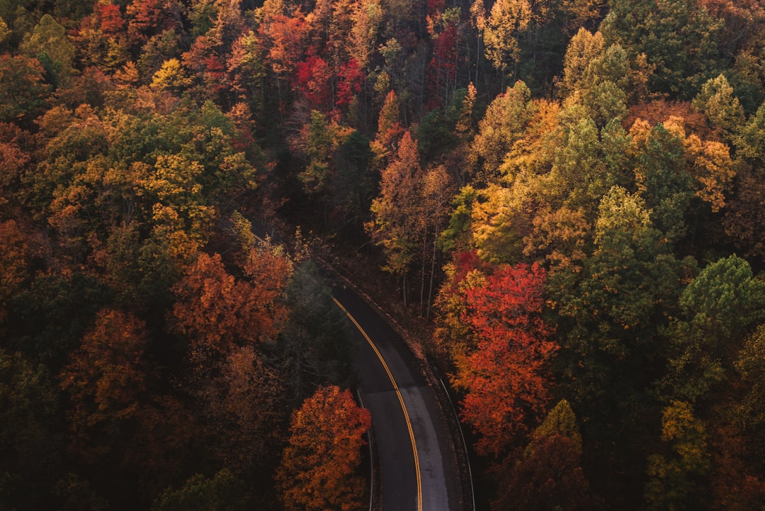 Fall Vacation Destination Travel Alerts 2026: What the New Advisories Mean for Your Autumn Trip and How to Plan Around Them